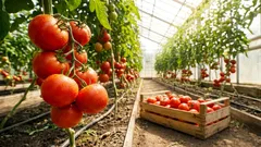 Naukowcy odkryli, że rośliny w stresie krzyczą, a owady to słyszą